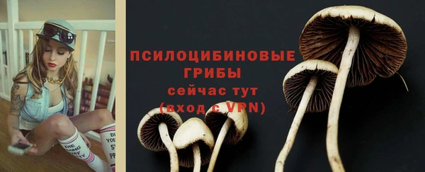 СК Верея