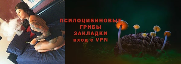 СК Верея