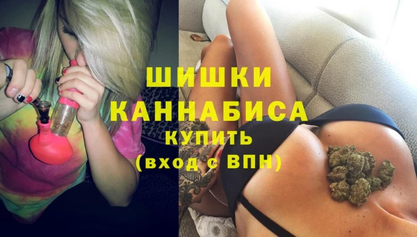 СК Верея