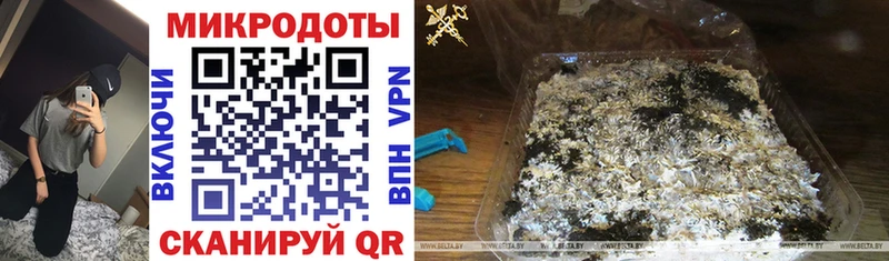 Галлюциногенные грибы мицелий  купить наркоту  Звенигово 